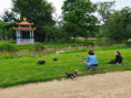 /album/projektovy-den-sd-v-podzamecke-zahrade-v-kromerizi/sd-kromeriz-6-jpg/